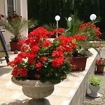Guest house Majlath Vendeghaz