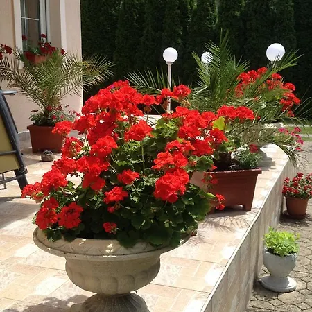 Guest house Majlath Vendeghaz