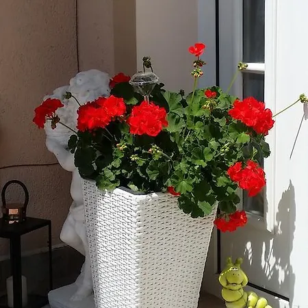 Guest house Majlath Vendeghaz Buk