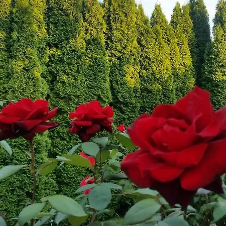 Majlath Vendeghaz 3* Buk